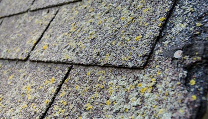 Roofing services in Fillmore, NY - Genesee Valley Roofing